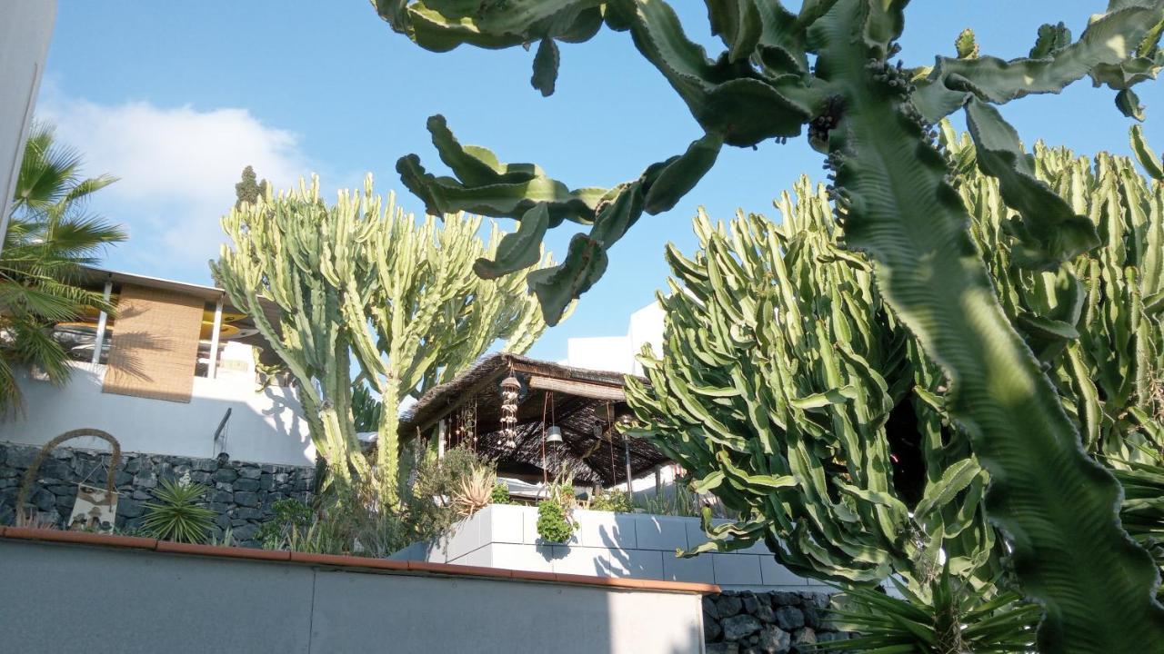 Apartamento Pardela Costa Adeje Dış mekan fotoğraf