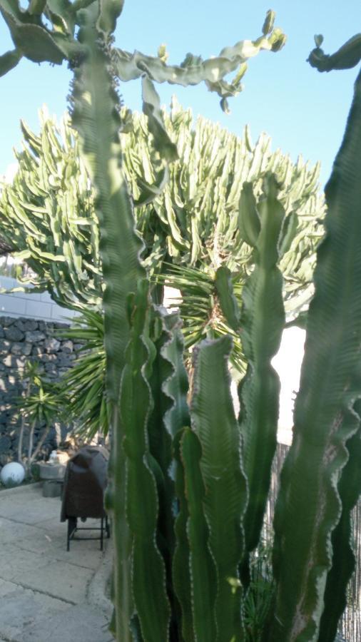 Apartamento Pardela Costa Adeje Dış mekan fotoğraf