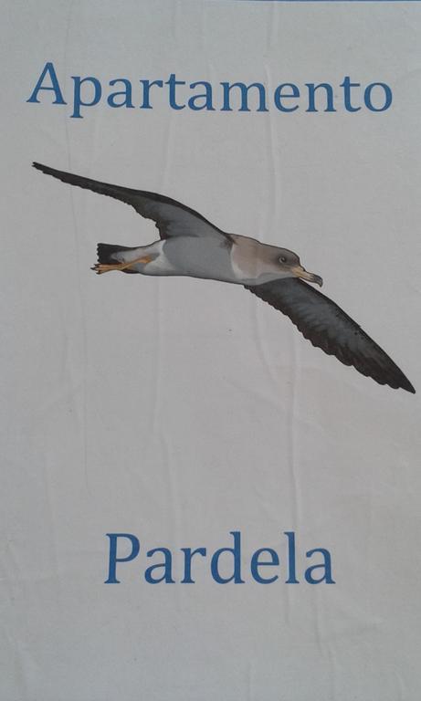 Apartamento Pardela Costa Adeje Dış mekan fotoğraf