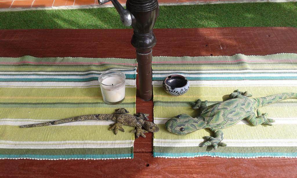 Apartamento Pardela Costa Adeje Dış mekan fotoğraf