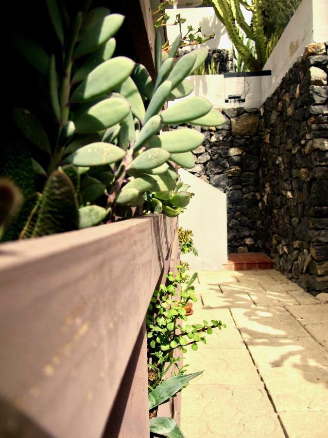 Apartamento Pardela Costa Adeje Dış mekan fotoğraf
